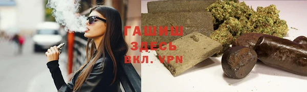 МДПВ Инсар