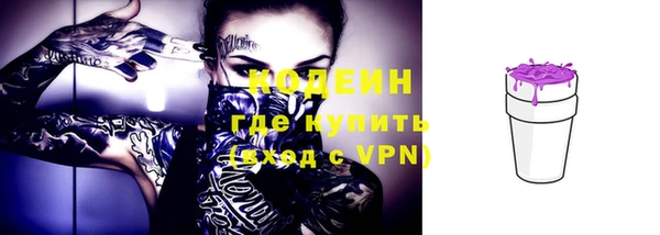 кристаллы Инта