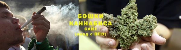 МДПВ Инсар