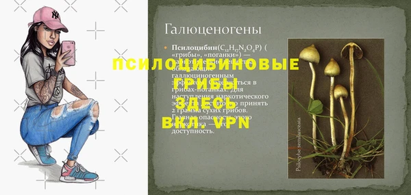 прущие крисы Каменногорск