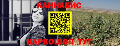 гидра Можга
