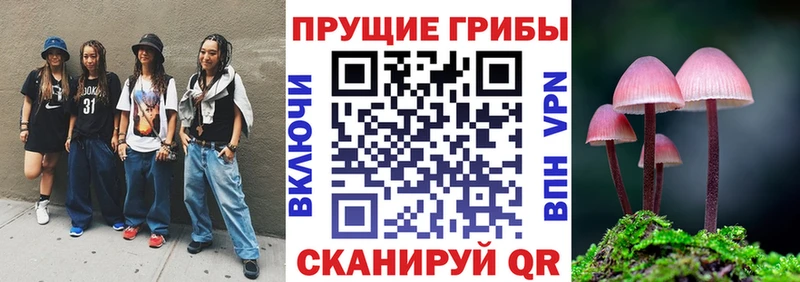 Галлюциногенные грибы прущие грибы  Купить закладки  Дзержинск 
