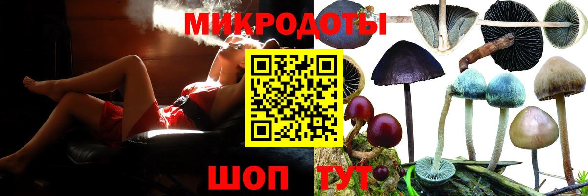 Псилоцибиновые грибы Psilocybe  Дзержинск 