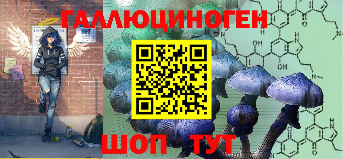 Псилоцибиновые грибы мицелий  Псилоцибиновые грибы мицелий  Вход с VPN  Дзержинск 