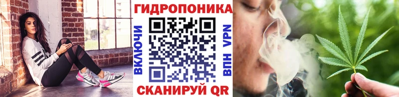 МАРИХУАНА план  Купить  Дзержинск 